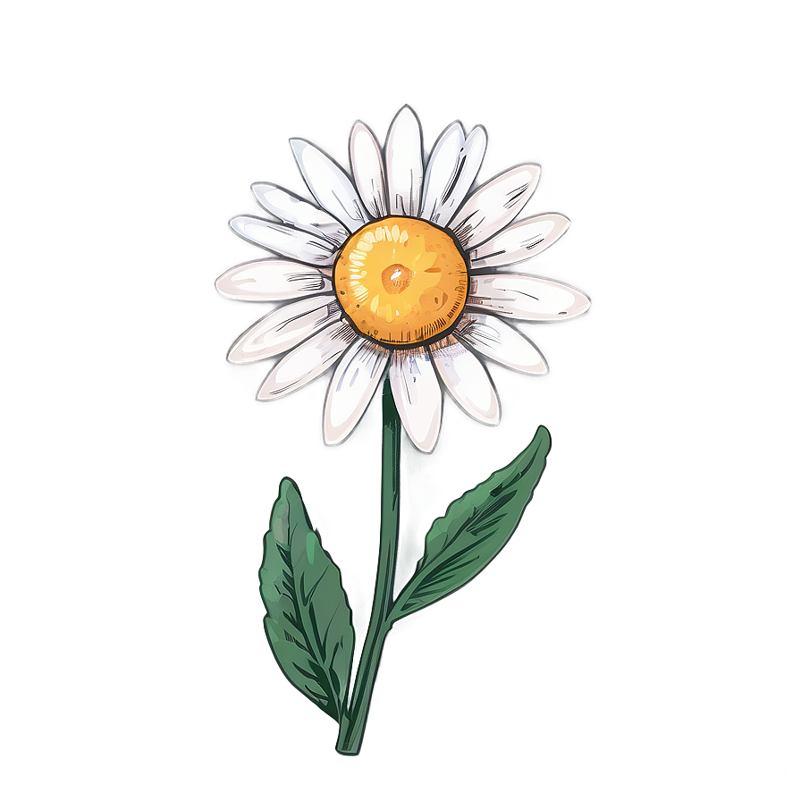 Aesthetic Daisy Flower Charm Png 06112024