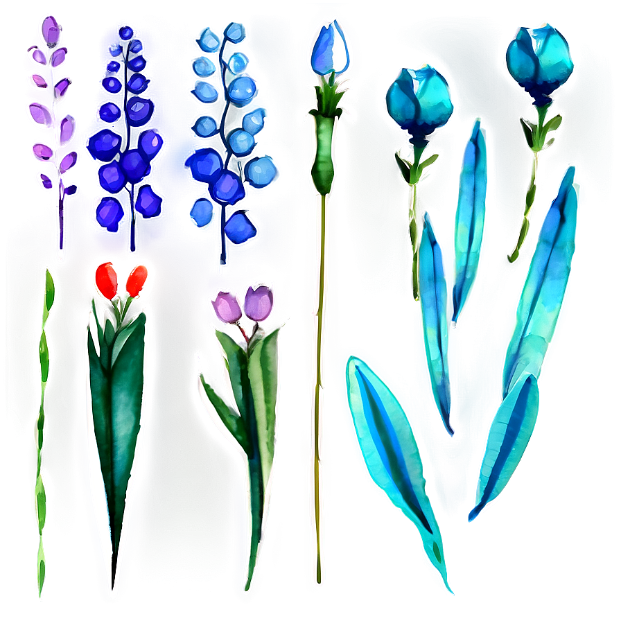 Aesthetic Flowers Watercolor Png 06282024