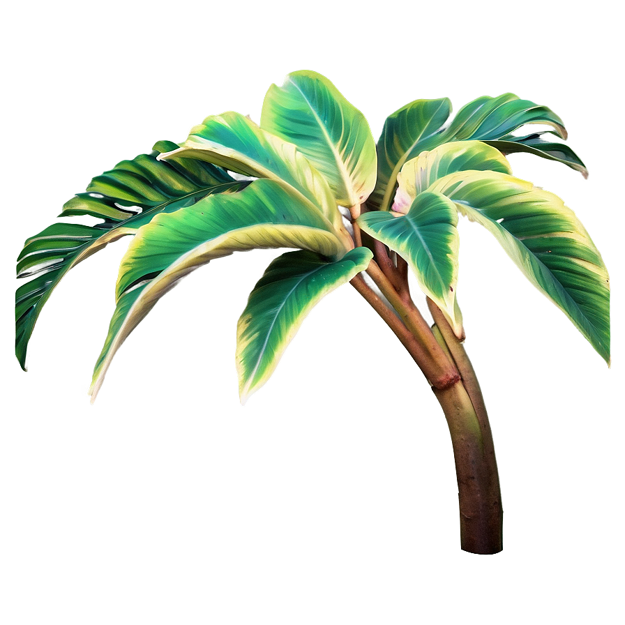 Aesthetic Tropical Plant Png 06272024