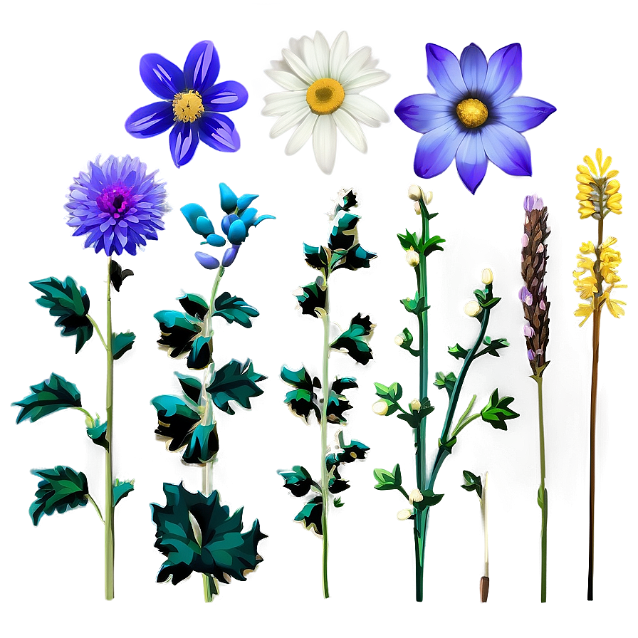 Aesthetic Wildflowers Collection Png 06282024