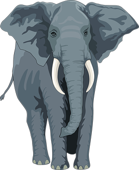 African Elephant Illustration