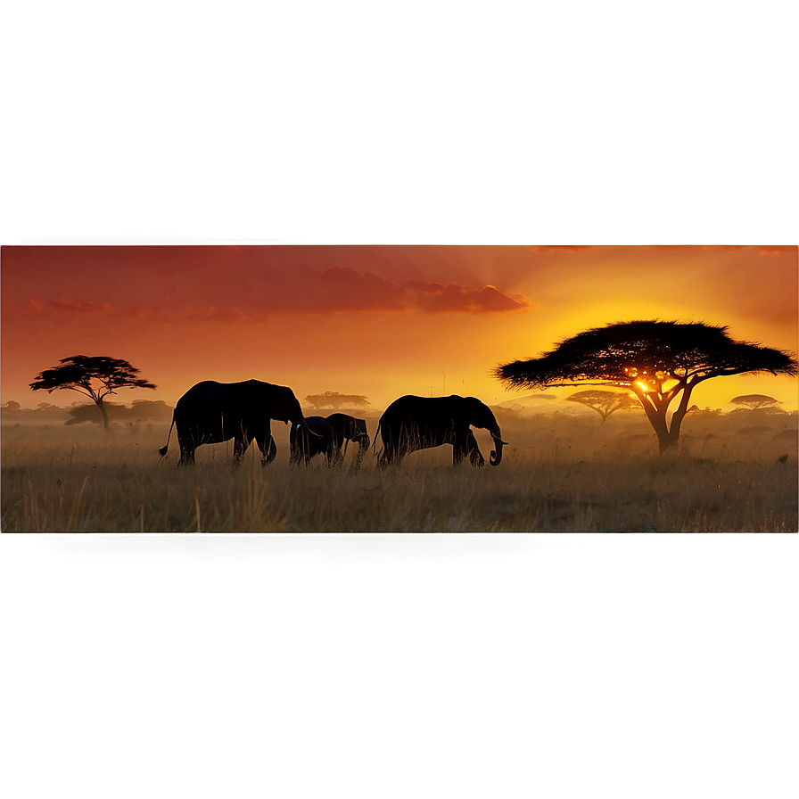 African Safari Sunset Png 22