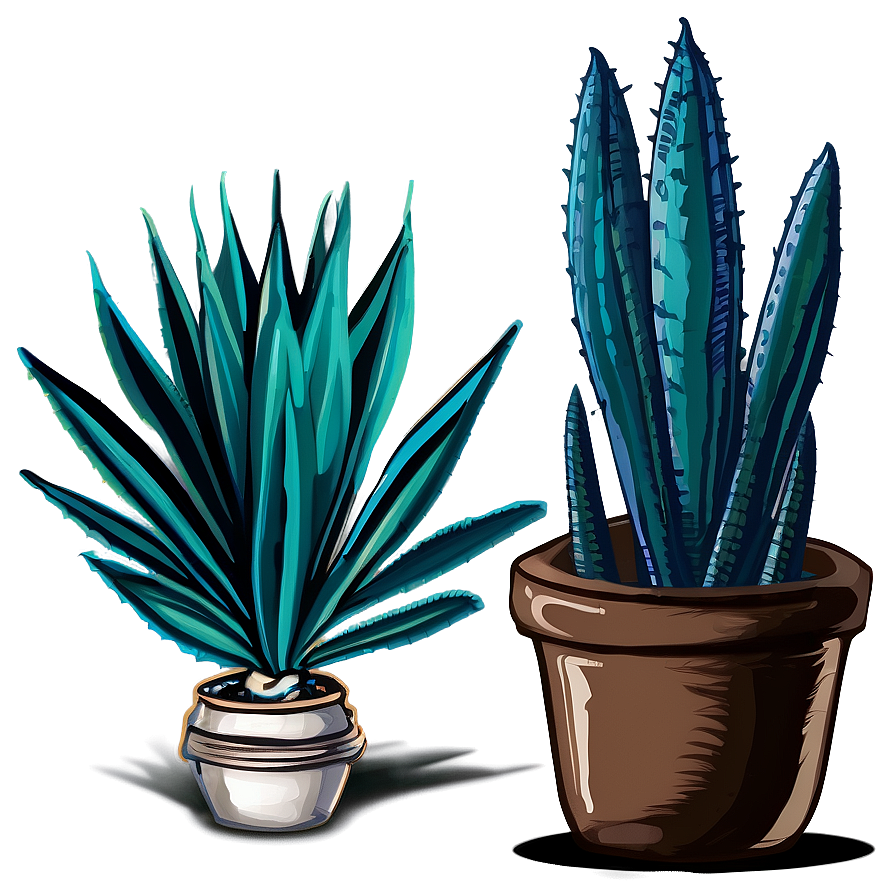 Agave Plant Illustration Png Lrv99