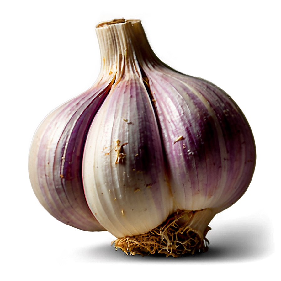 Aged Garlic Png 88