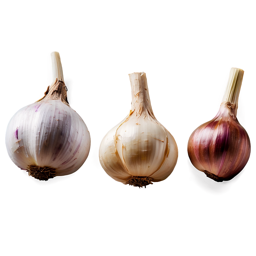 Aged Garlic Png Lso