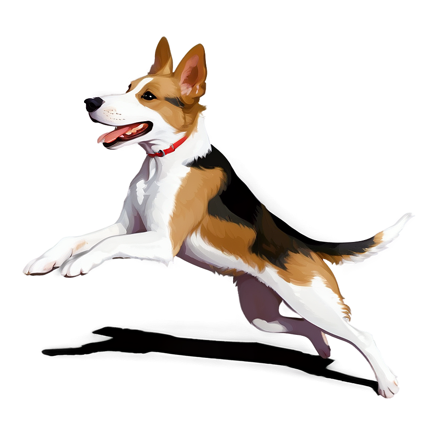 Agility Dog Running Png 06132024