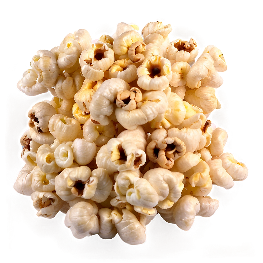 Agricultural Popcorn Kernel Png Lhq52