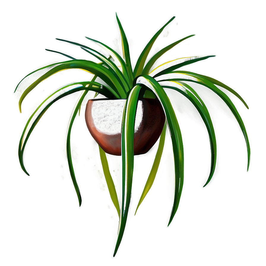 Air Plant Clipart Png Vko19