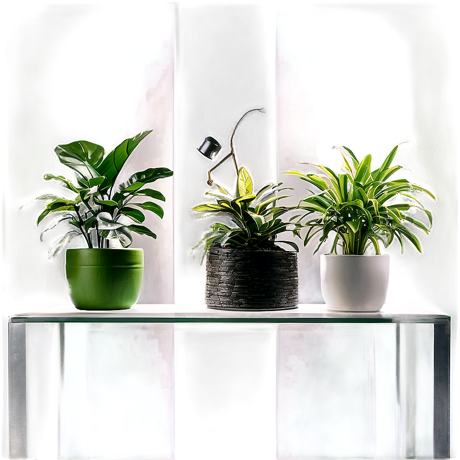 Air Purifying Indoor Plants Png 59