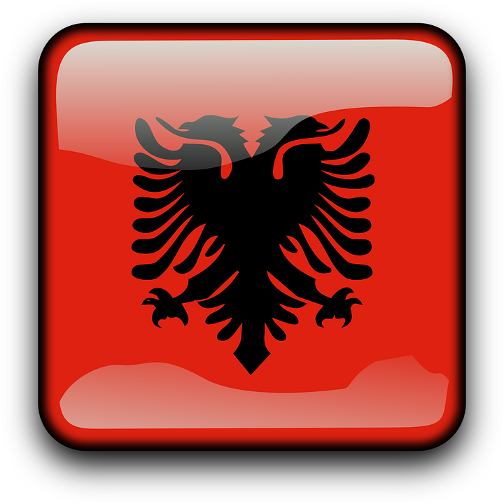 Albanian Eagle Icon