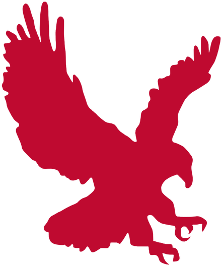 Albanian Eagle Silhouette