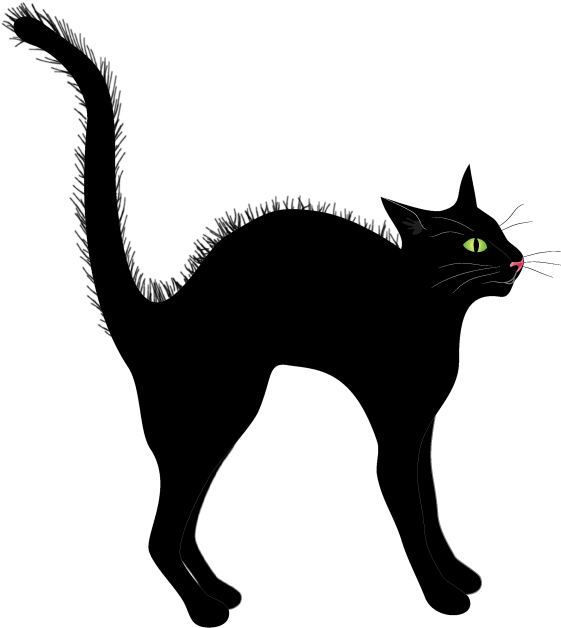 Alert Black Cat Illustration.png