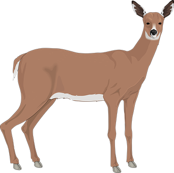 Alert Brown Deer Illustration