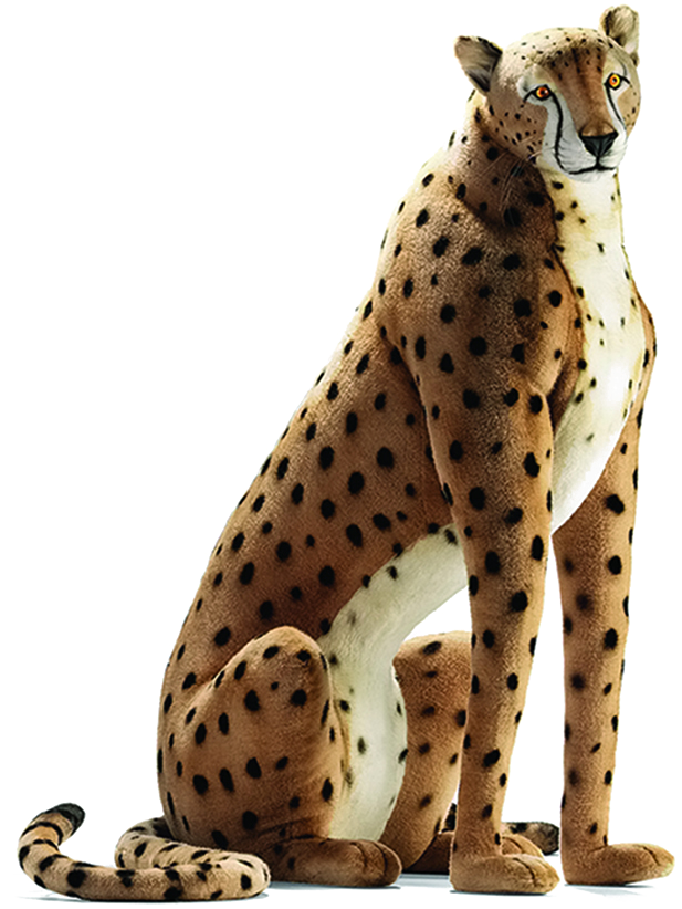 Alert Cheetah Sitting Transparent Background.png