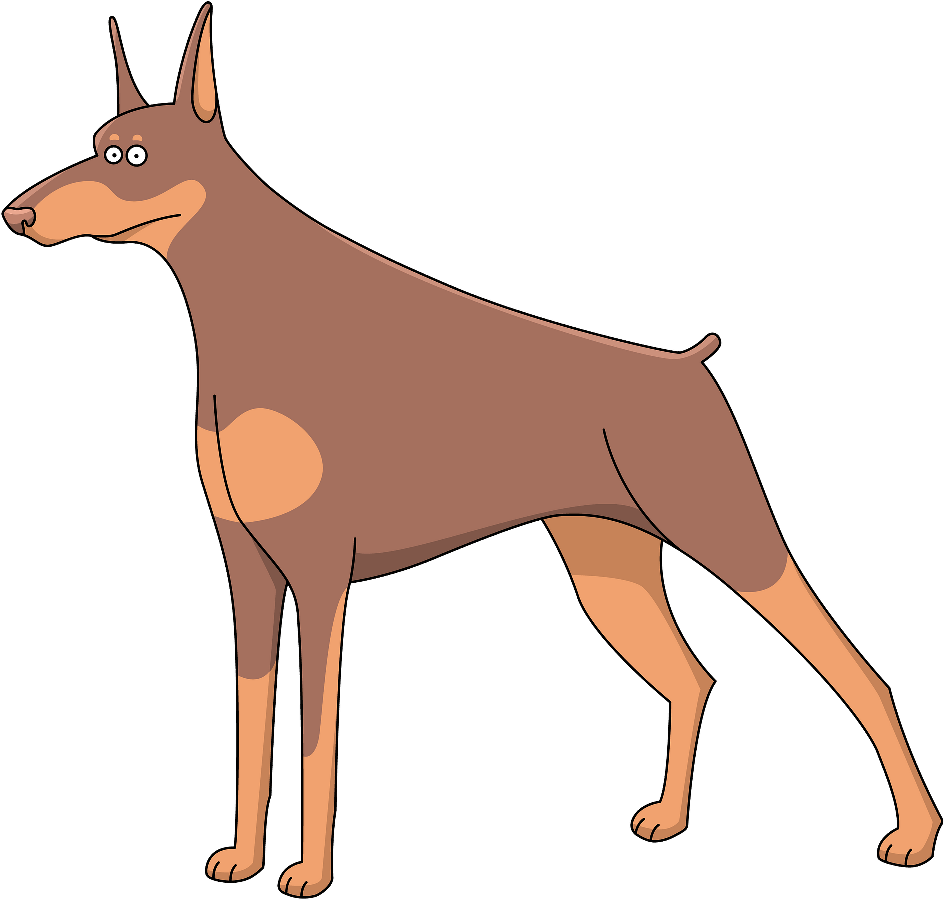 Alert Doberman Cartoon Illustration