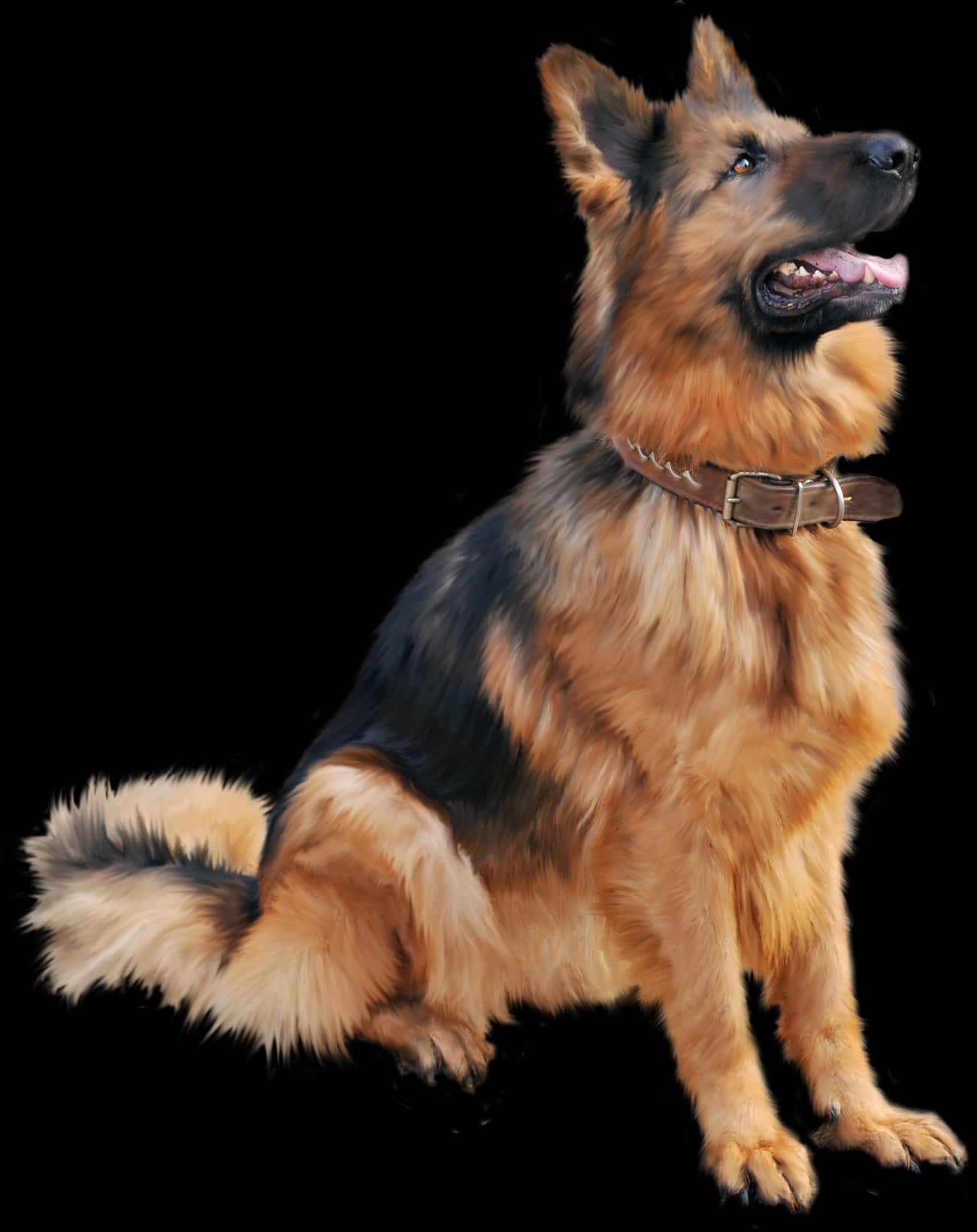 Alert German Shepherd Dog