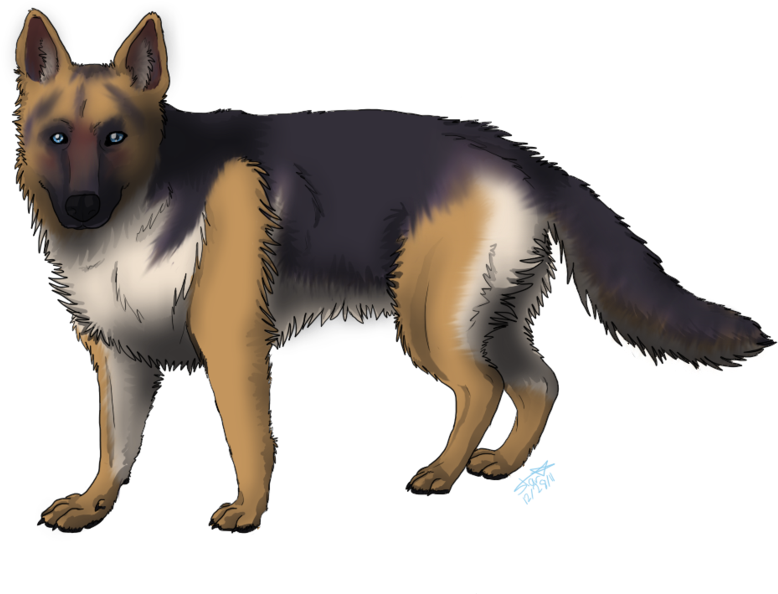 Alert German Shepherd Illustration