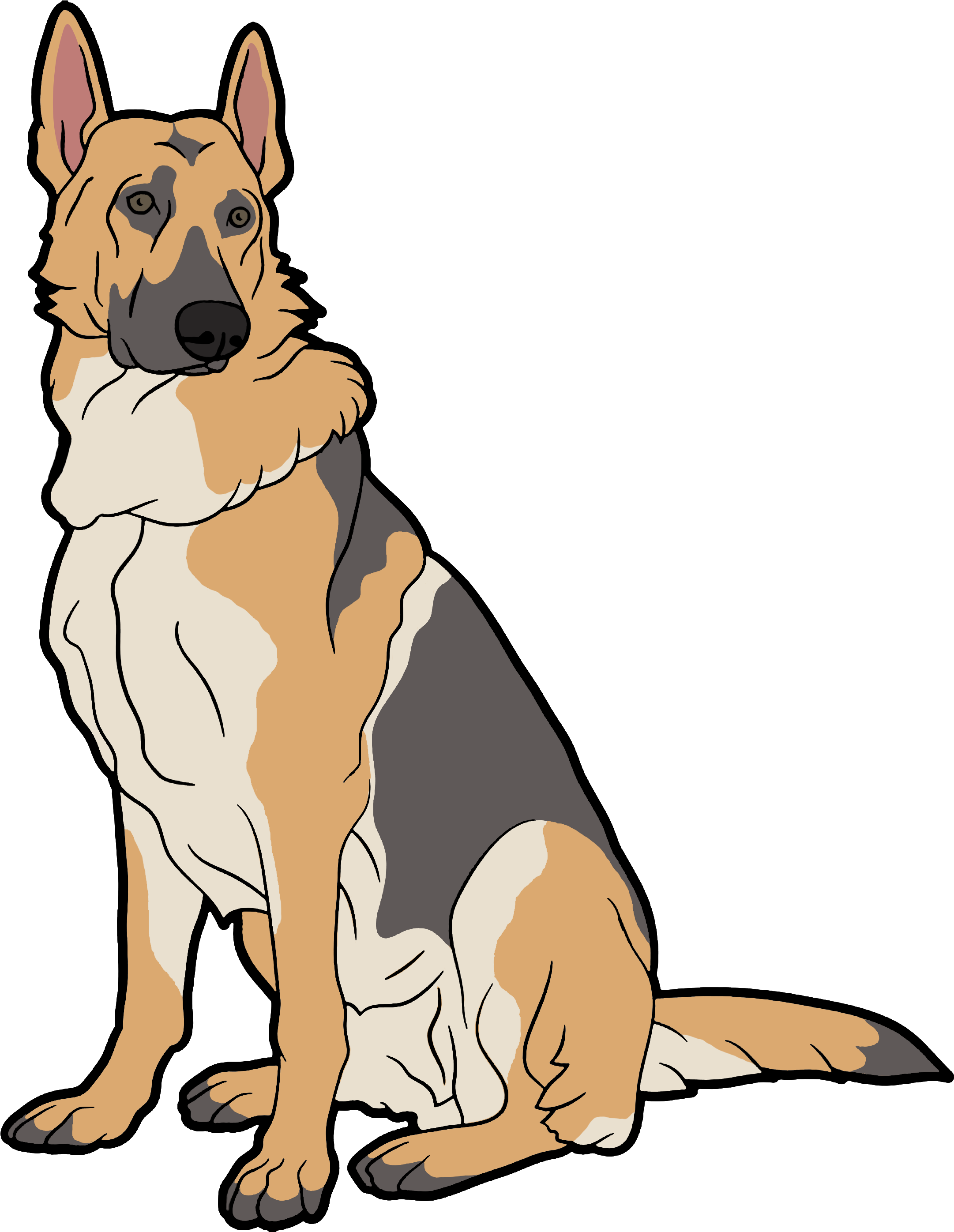 Alert German Shepherd Illustration.png