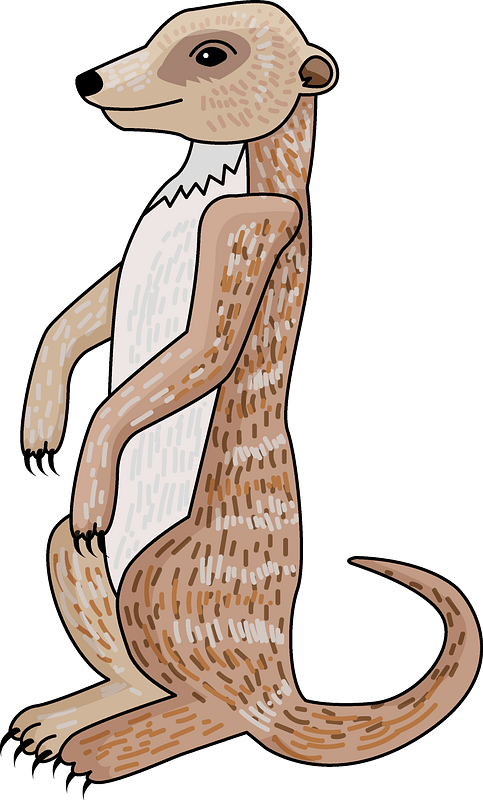 Alert Meerkat Illustration