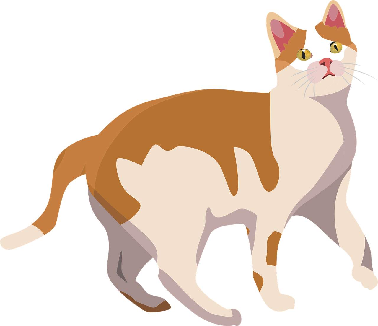 Alert Orangeand White Cat Illustration.png