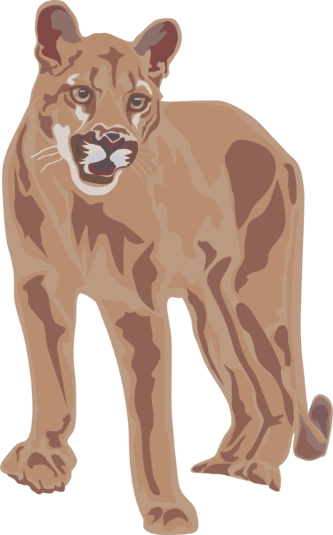 Alert Puma Illustration