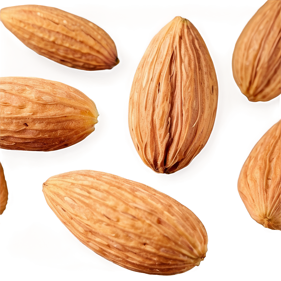 Almond Close-up Png Fkl37