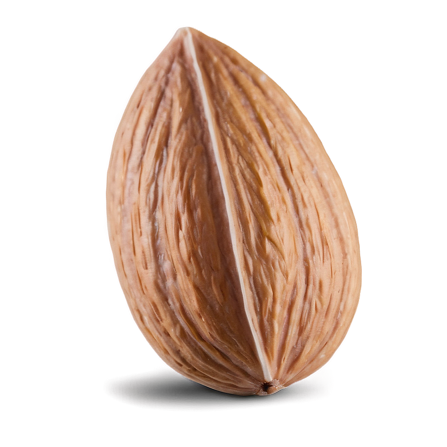 Almond Close-up Png Rbn86