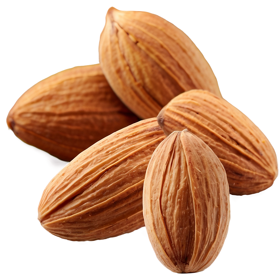 Almond Group Png 05242024