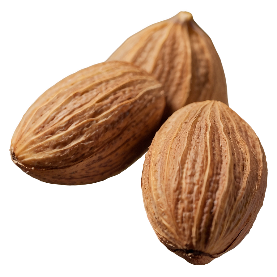 Almond Nut Png 06122024