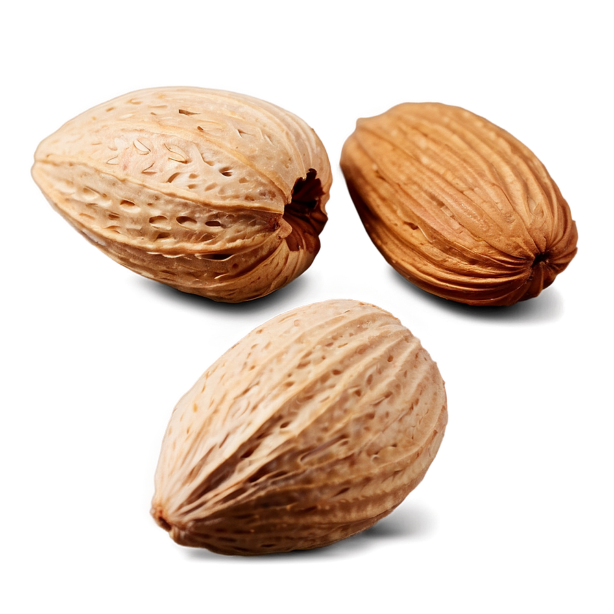 Almond Nut Png Ayl