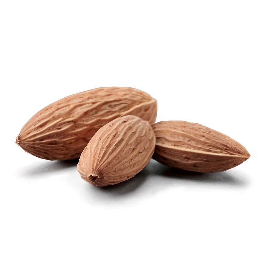 Almond Nut Png Fyy