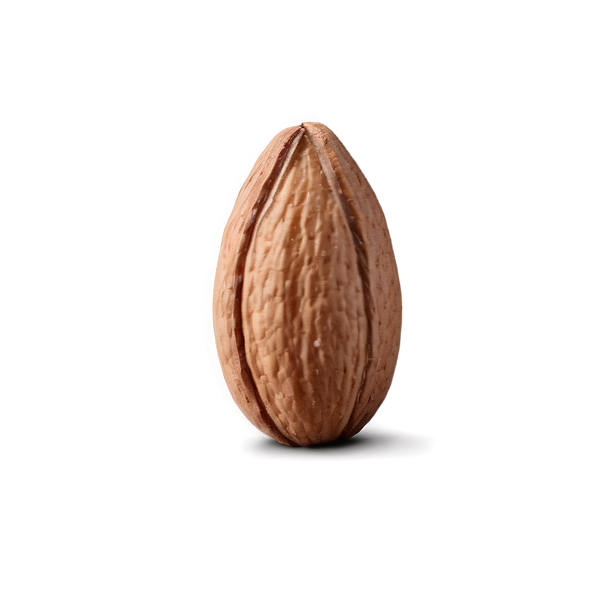 Almond On White Png 05242024