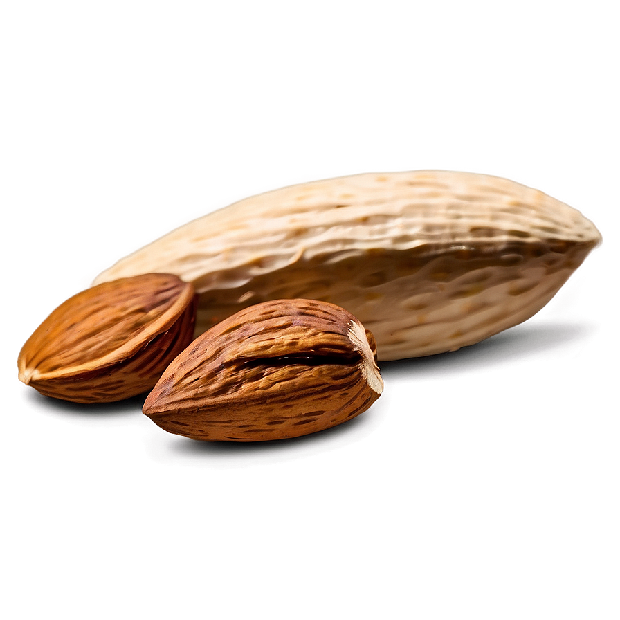 Almond Piece Png 05242024