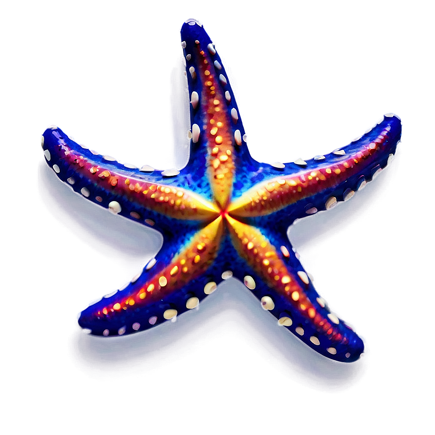 Aloha Starfish Pattern Png Sip78