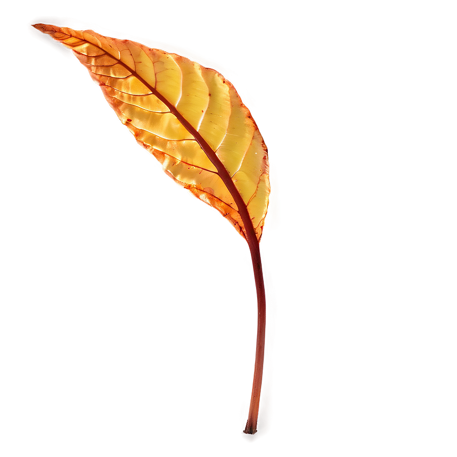 Amber Encased Leaf Png 73