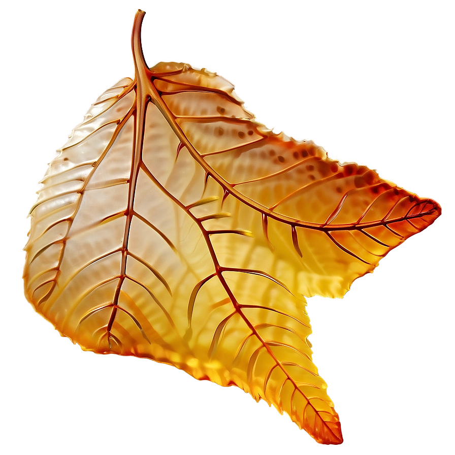 Amber Encased Leaf Png Vtp88