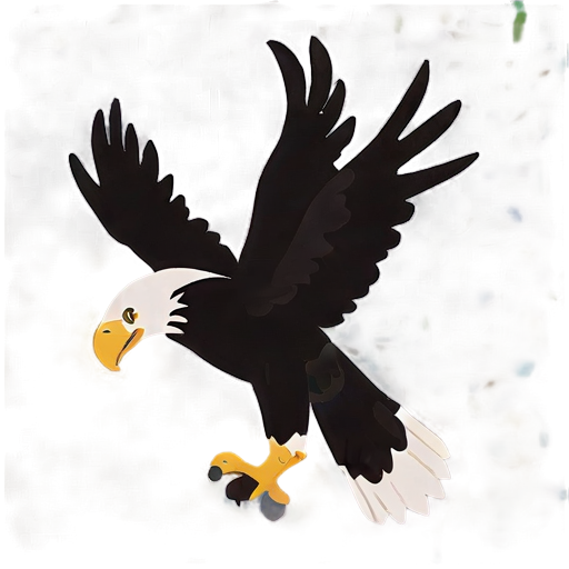 American Bald Eagle Portrait Png B