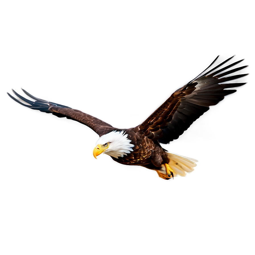 American Eagle In Flight Png Ehd