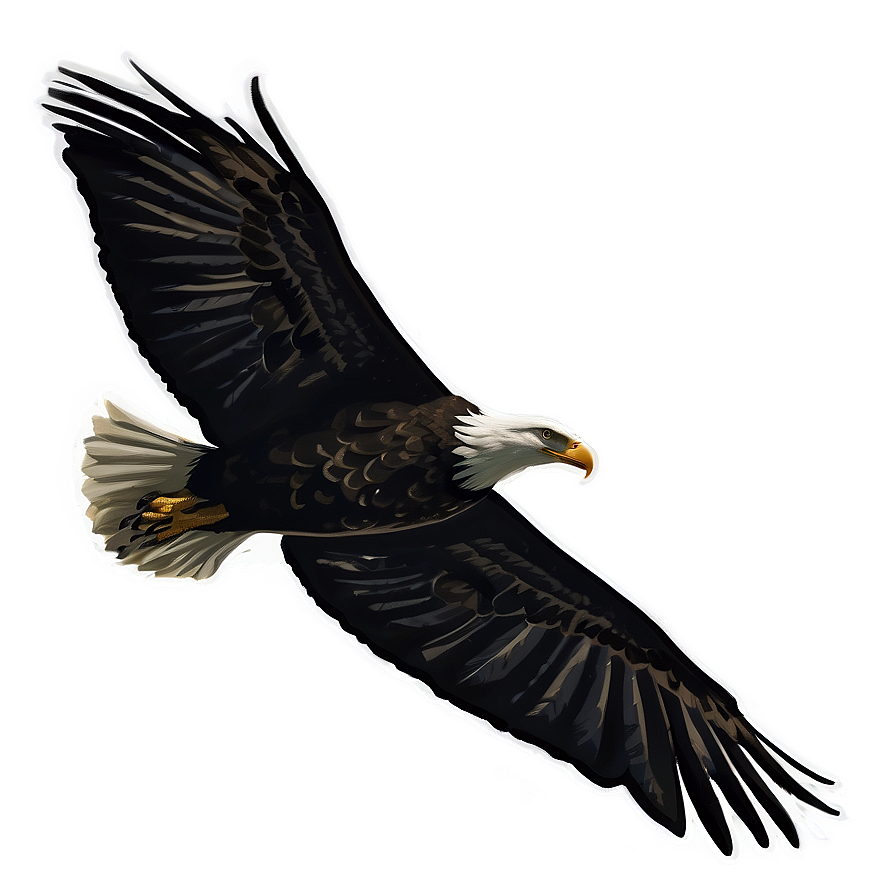 American Eagle In Flight Silhouette Png 6