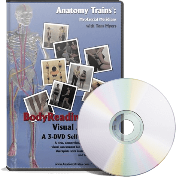 Anatomy Trains Myofascial Meridians D V D