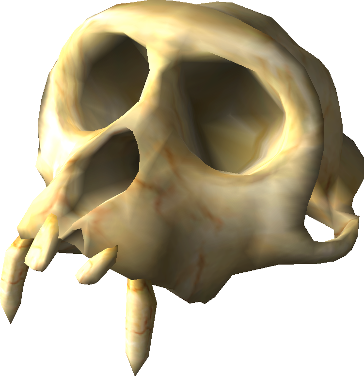 Ancient Skull Fossil3 D Render