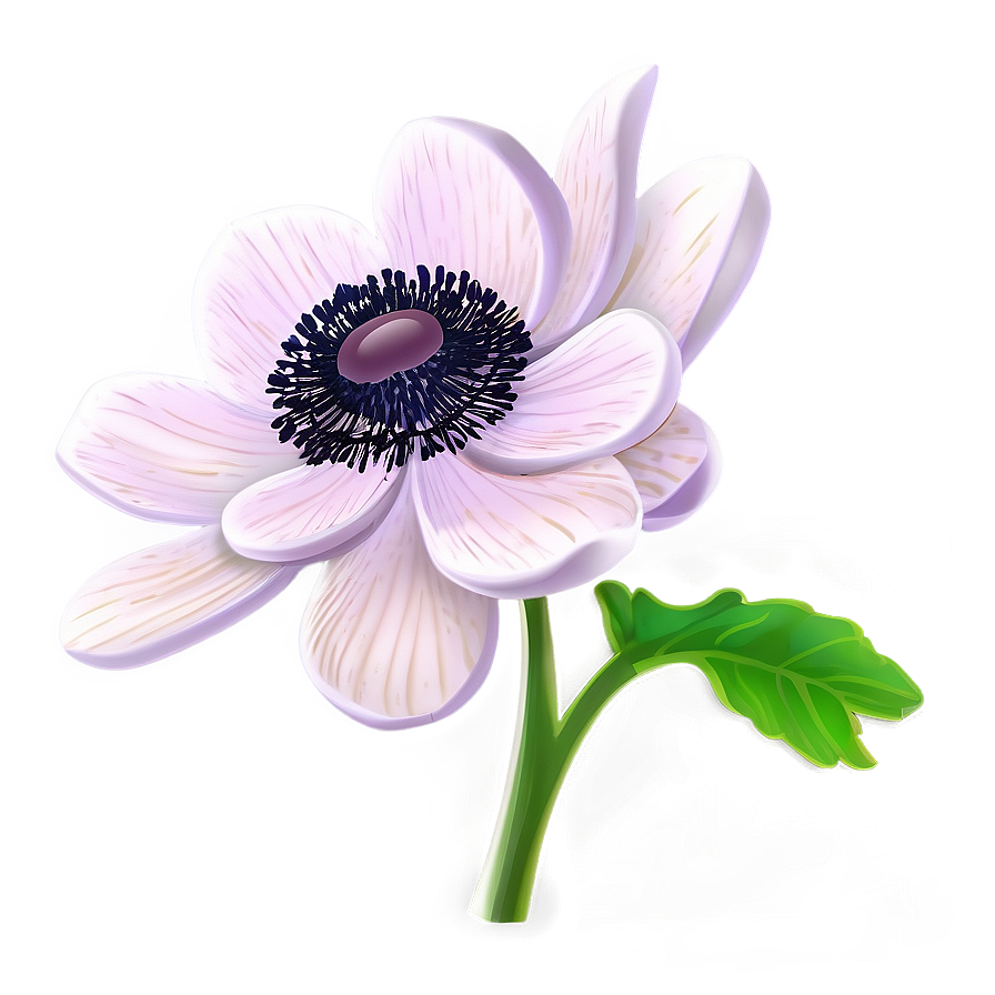 Anemone Clipart Png Lhe2