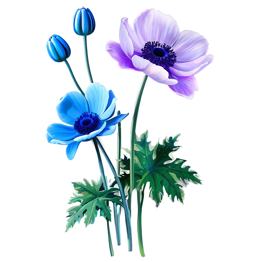 Anemone Flower Illustration Png Htp