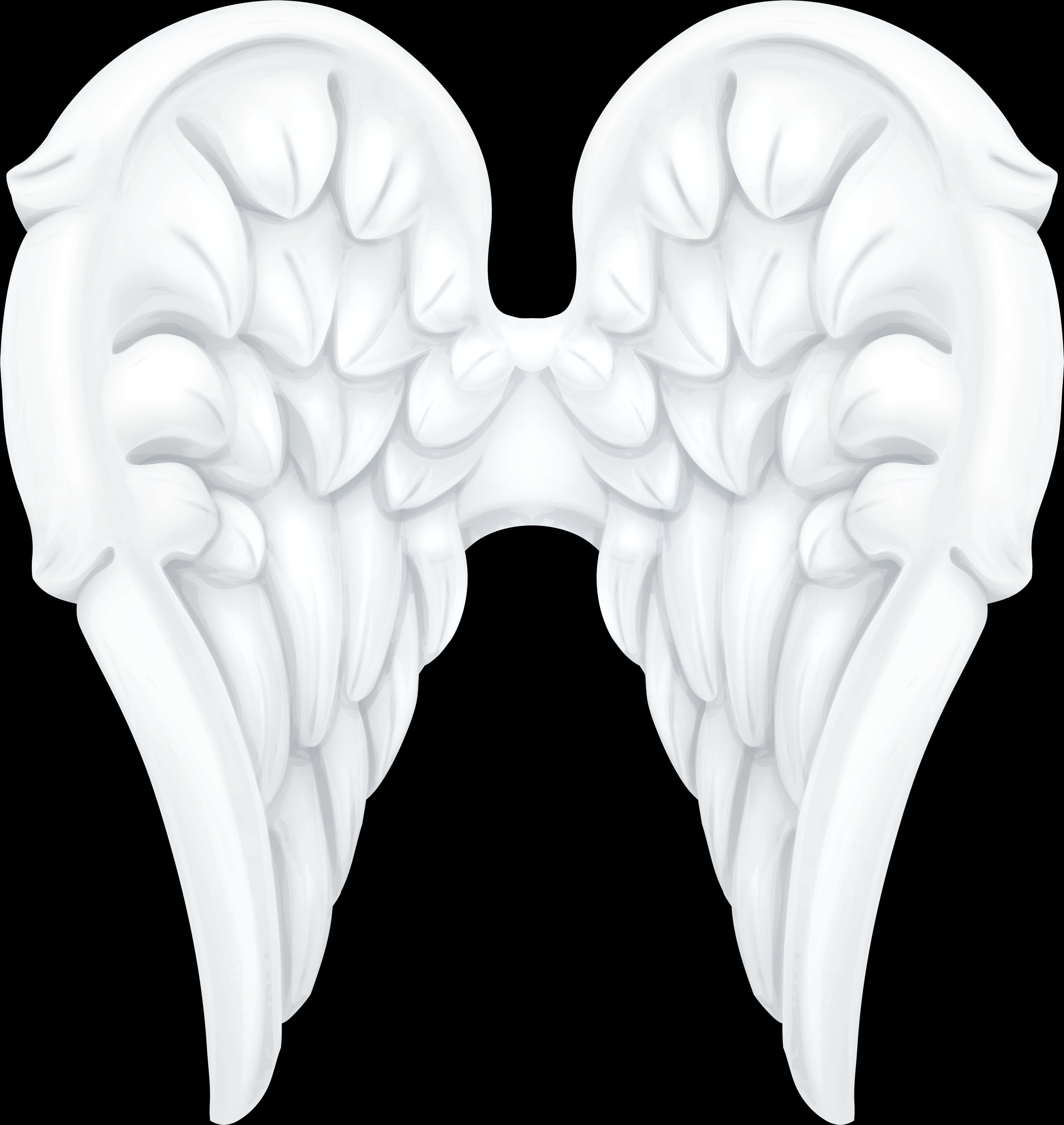 Angel Wings Graphic Art