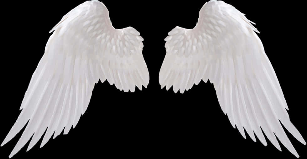 Angel Wings Isolatedon Black Background