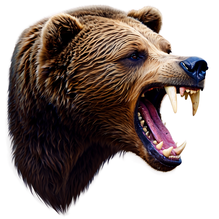 Angry Bear Head Design Png Sbg34