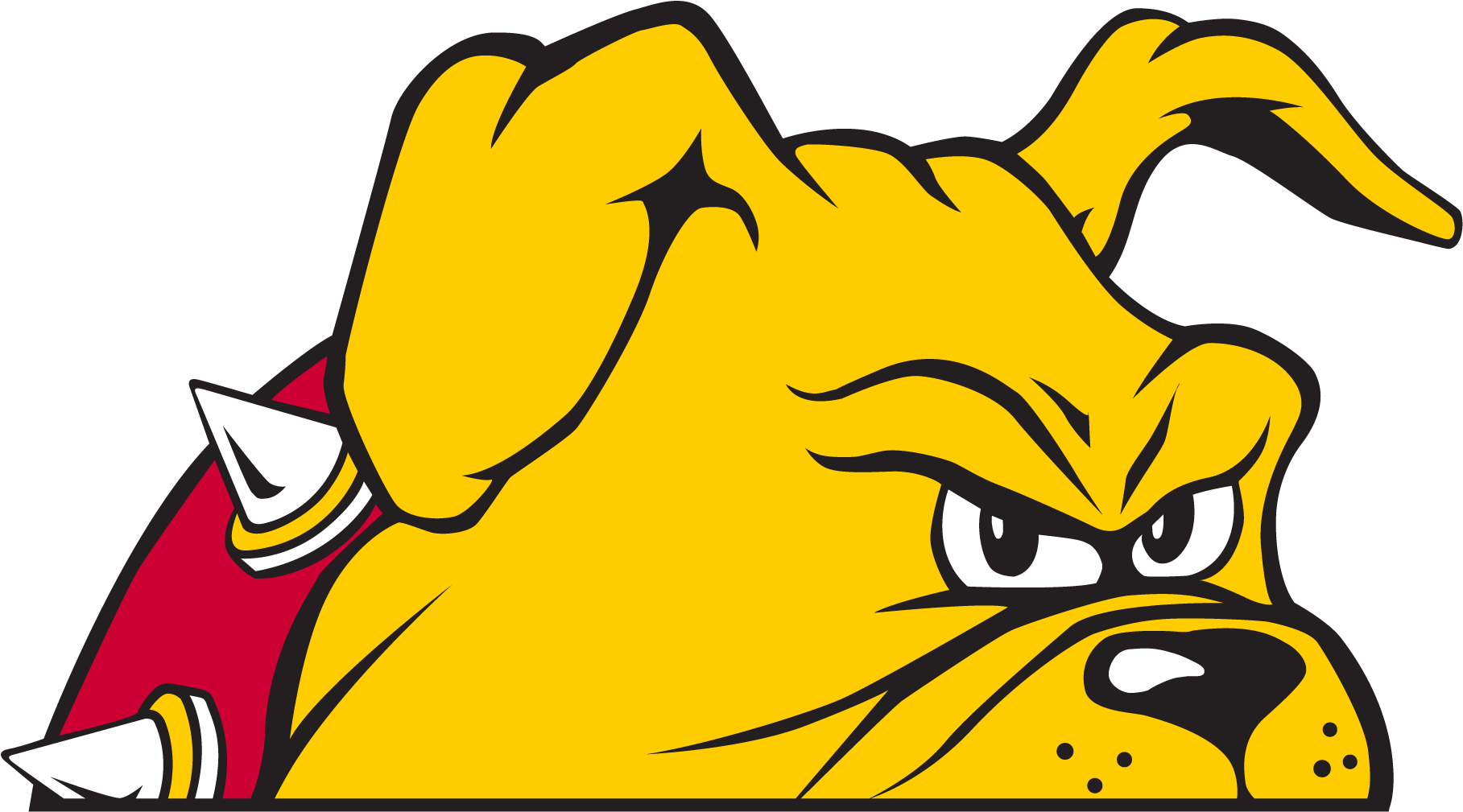 Angry Bulldog Mascot Graphic