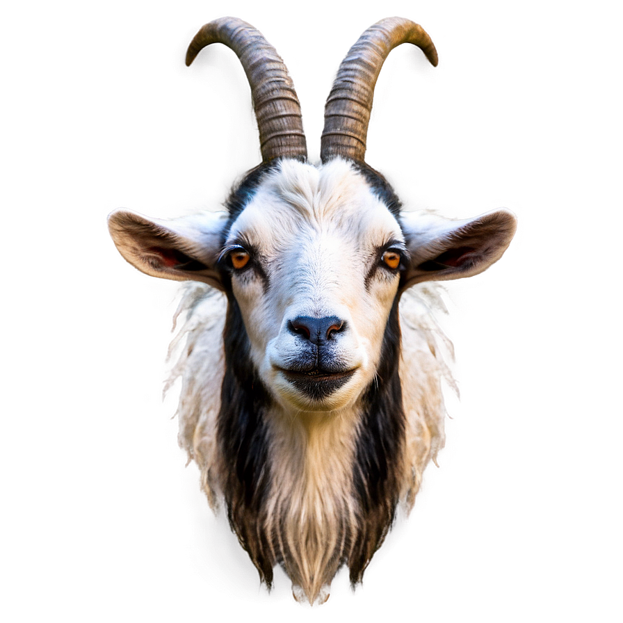 Angry Goat Png Hym