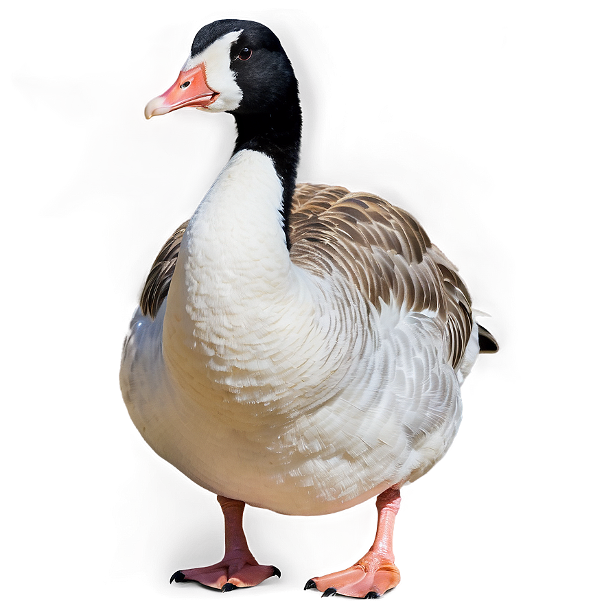 Angry Goose Expression Png Dot