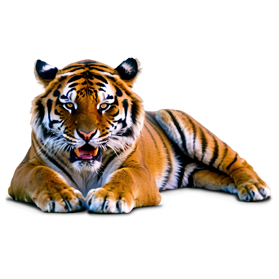 Angry Tiger Png 6